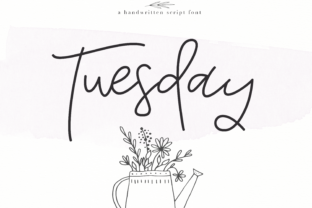 Tuesday